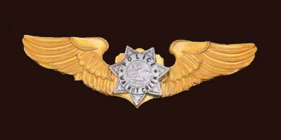 Pilot Wings